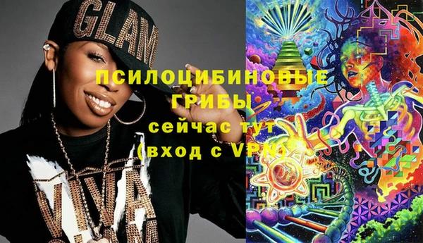 a pvp Абаза
